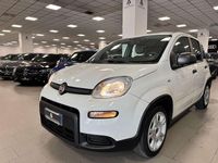 Usata Fiat Panda S 70 CV (51 kW) 2022 Grigio Utilitaria