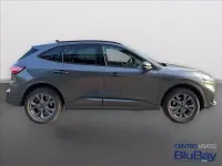 Usata Ford Kuga ST-Line X 225 CV (165 kW) 2023 Grigio SUV