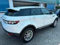 Usata Land Rover Range Rover evoque 150 CV (110 kW) 2014 Bianco SUV