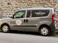 Usata Fiat Doblò Dynamic 135 CV (99 kW) 2011 Argento Monovolume
