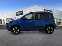 usata Fiat Panda Cross 1.0 FireFly 70cv S&S Hybrid