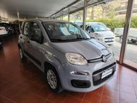 Usata Fiat Panda Easy 69 CV (50 kW) 2019 Grigio Utilitaria
