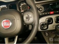 Usata Fiat Panda Lounge 69 CV (50 kW) 2017 Grigio Utilitaria