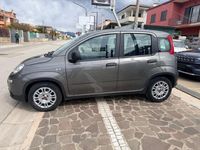 Usata Fiat Panda S 71 CV (52 kW) 2024 Gray Utilitaria