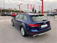 usata Audi A4 Allroad 2.0 TDI 190 CV Business usato