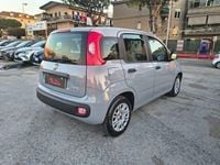 Usata Fiat Panda Easy 69 CV (50 kW) 2022 Grigio Utilitaria