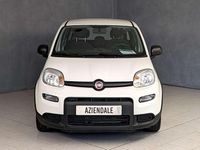 Usata Fiat Panda City Life 70 CV (51 kW) 2023 Bianco Berlina