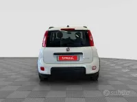 Usata Fiat Panda City Life 69 CV (50 kW) 2021 Bianco gelato Utilitaria