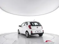 Usata Kia Picanto 65 CV (47 kW) 2016 Bianco Utilitaria