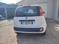 Usata Fiat Panda Easy 75 CV (55 kW) 2013 Bianco Utilitaria