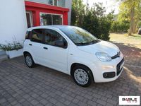 Usata Fiat Panda Lounge 80 CV (58 kW) 2018 Bianco Utilitaria