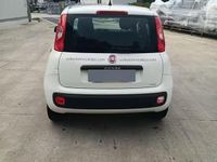 Usata Fiat Panda Easy 69 CV (50 kW) 2017 Bianco Utilitaria