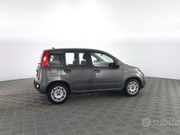 Usata Fiat Panda Easy 70 CV (51 kW) 2020 Grigio maestro Utilitaria