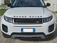 Usata Land Rover Range Rover evoque SE 150 CV (110 kW) 2018 Bianco SUV