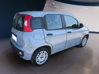 Usata Fiat Panda Lounge 69 CV (50 kW) 2018 Grigio Utilitaria