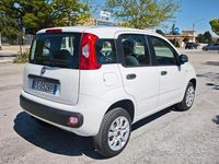 Usata Fiat Panda Easy 80 CV (58 kW) 2018 Bianco Utilitaria