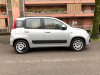 usata Fiat Panda 1.2 Pop