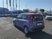 Usata Fiat Panda S 69 CV (50 kW) 2021 Grigio Utilitaria