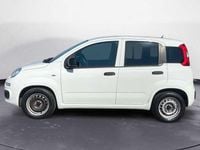 Usata Fiat Panda 69 CV (50 kW) 2016 Bianco Utilitaria