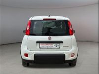 Usata Fiat Panda S 69 CV (50 kW) 2023 Bianco Utilitaria