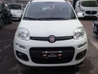 Usata Fiat Panda Lounge 69 CV (50 kW) 2019 Bianco Utilitaria