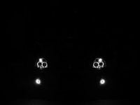 Usata Ford Fiesta 75 CV (55 kW) 2006 Berlina