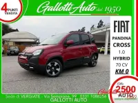 Nuova Fiat Panda Cross 69 CV (50 kW) 2025 Rosso Utilitaria