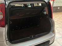 Usata Fiat Panda 4x4 S 75 CV (55 kW) 2014 Grigio Utilitaria