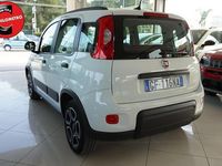 Usata Fiat Panda City Life 69 CV (50 kW) 2021 Bianco Utilitaria