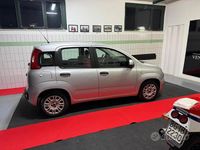 Usata Fiat Panda Lounge 69 CV (50 kW) 2017 Grigio Utilitaria