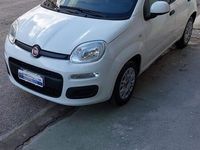 usata Fiat Panda 1.2 benzina 2019 50.000 km adatta a neo