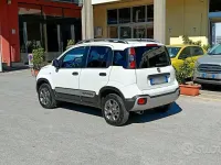 Usata Fiat Panda 4x4 S 84 CV (61 kW) 2020 Bianco Utilitaria