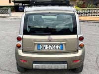 Occasion Fiat Panda 4x4 Cross 69 ch (50 kW) 2009 Citadine