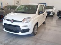 Nuova Fiat Panda S 71 CV (52 kW) 2025 Bianco Utilitaria