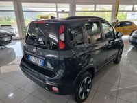 usata Fiat Panda Cross 1.0 FireFly S&S Hybrid City