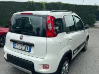 Usata Fiat Panda 4x4 S 75 CV (55 kW) 2014 Bianco Utilitaria