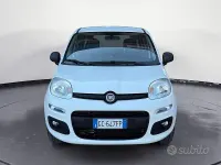 Usata Fiat Panda Easy 80 CV (58 kW) 2020 Bianco Utilitaria