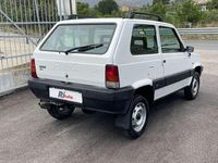 Usata Fiat Panda 4x4 Trekking 54 CV (39 kW) 2001 Bianco Utilitaria