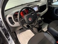 usata Fiat Panda 1.0 1.0 FireFly S&S Hybrid