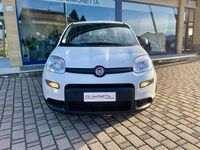 usata Fiat Panda 1.0 FireFly S&S Hybrid - KM0