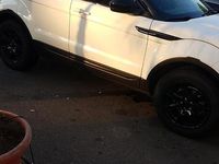 Usata Land Rover Range Rover evoque 2014 Bianco SUV
