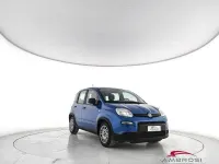 Usata Fiat Panda S 69 CV (50 kW) 2024 Blu Utilitaria