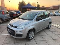 usata Fiat Panda Panda1.2 Easy 69cv