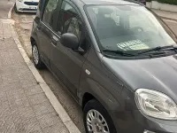 Usata Fiat Panda 95 CV (69 kW) 2017 Utilitaria