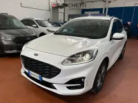 Usata Ford Kuga ST-Line 190 CV (139 kW) 2023 Bianco SUV
