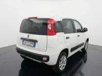 Usata Fiat Panda 4x4 86 CV (63 kW) 2019 Bianco Utilitaria