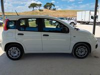Usata Fiat Panda Easy 69 CV (50 kW) 2020 Bianco Utilitaria