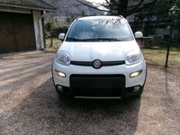 Usata Fiat Panda 4x4 S 95 CV (69 kW) 2016 Bianco Utilitaria