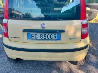 Usata Fiat Panda 60 CV (44 kW) 2010 Giallo Utilitaria