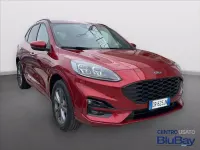 Usata Ford Kuga ST-Line X 225 CV (165 kW) 2023 Lucid red SUV